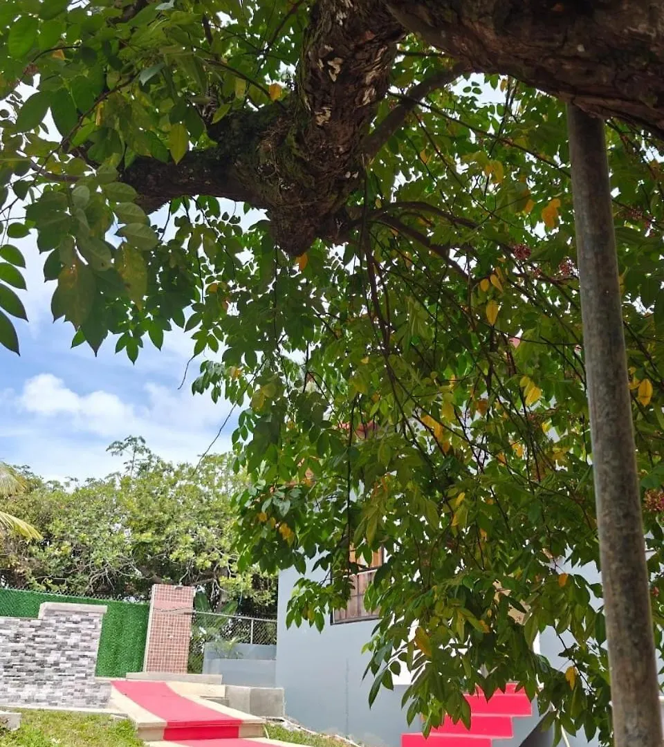 Risoli Villa Micoud